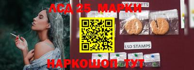 МДПВ Новозыбков