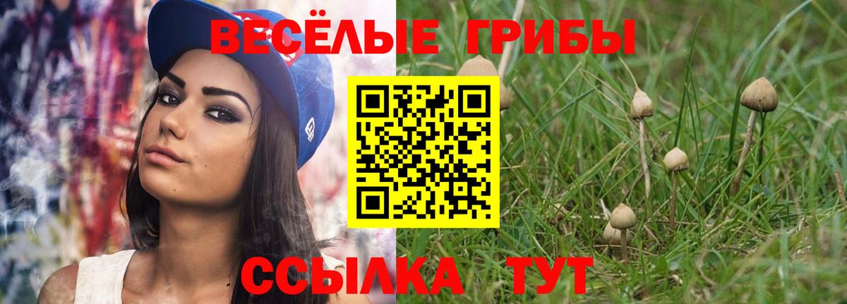 сколько стоит  Псилоцибиновые грибы Psilocybine cubensis  Вход с VPN  Псилоцибиновые грибы MAGIC MUSHROOMS  Саянск 